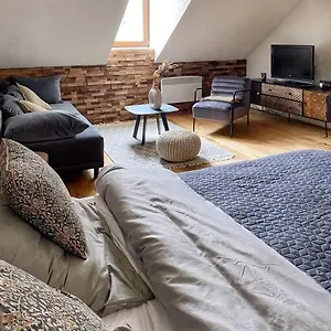 https://cozy-and-warm-apartment-in-the-heart-of-karlsbad-karlovy-vary.karlovyvary-hotels.com
